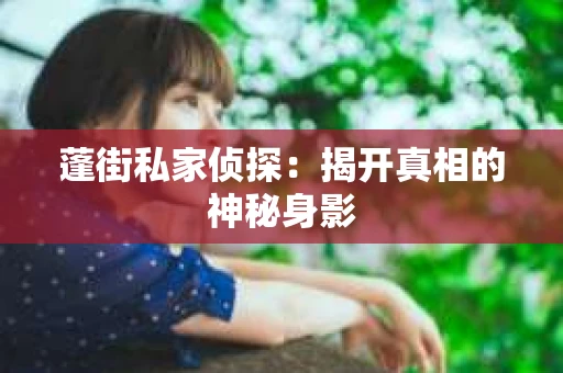 蓬街私家侦探：揭开真相的神秘身影