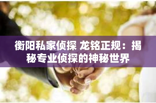 衡阳私家侦探 龙铭正规：揭秘专业侦探的神秘世界