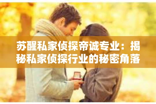 苏醒私家侦探帝诚专业：揭秘私家侦探行业的秘密角落