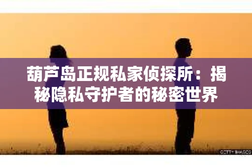 葫芦岛正规私家侦探所：揭秘隐私守护者的秘密世界