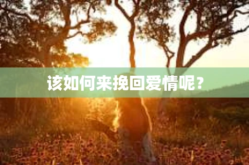 该如何来挽回爱情呢？