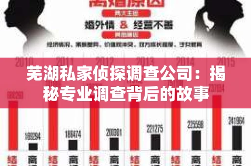芜湖私家侦探调查公司：揭秘专业调查背后的故事