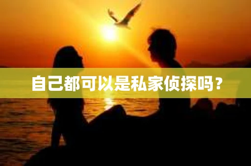 自己都可以是私家侦探吗？