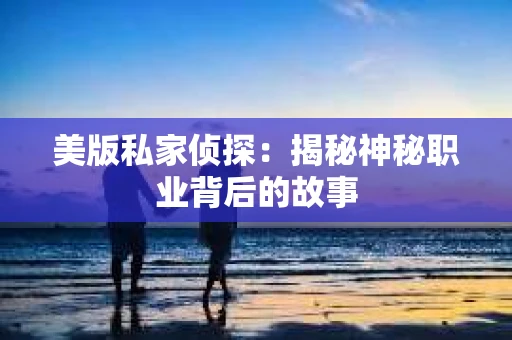 美版私家侦探：揭秘神秘职业背后的故事