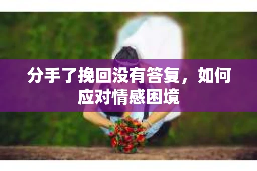 分手了挽回没有答复，如何应对情感困境
