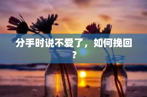 分手时说不爱了，如何挽回？