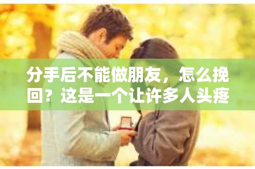 分手后不能做朋友，怎么挽回？这是一个让许多人头疼的问题。面对这种情况，我们该如何调整心态，采取有效的措施去挽回曾经的感情呢？本文将从心理、行动等多个方面为您支招，助您在分手后成功挽回