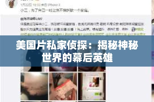 美国片私家侦探:揭秘神秘世界的幕后英雄 美国片私家侦探:揭秘神秘世界的幕后英雄