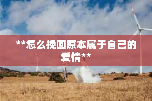 **怎么挽回原本属于自己的爱情**