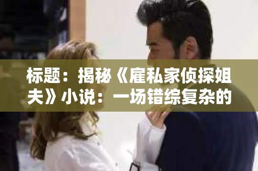 标题：揭秘《雇私家侦探姐夫》小说：一场错综复杂的情感纠葛