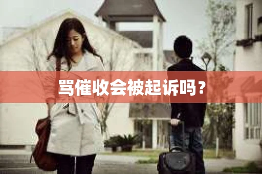 骂催收会被起诉吗？
