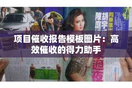 项目催收报告模板图片：高效催收的得力助手