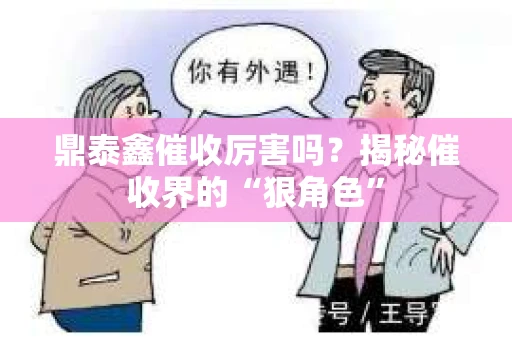 鼎泰鑫催收厉害吗？揭秘催收界的“狠角色”