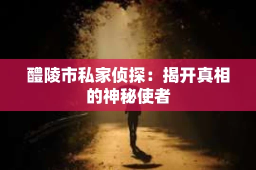 醴陵市私家侦探：揭开真相的神秘使者