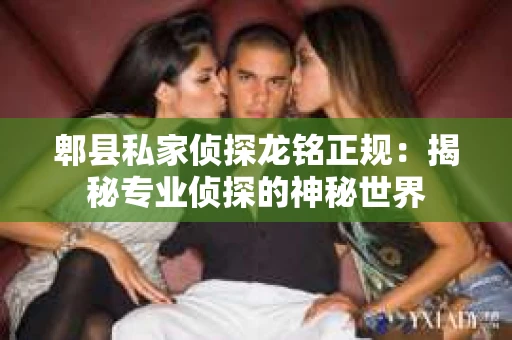 郫县私家侦探龙铭正规：揭秘专业侦探的神秘世界
