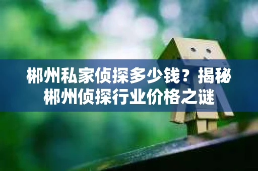 郴州私家侦探多少钱？揭秘郴州侦探行业价格之谜