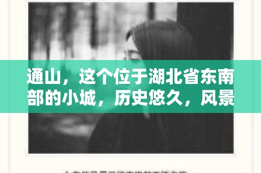 通山，这个位于湖北省东南部的小城，历史悠久，风景秀丽。近年来，随着社会的发展，人们对于隐私保护和信息安全的意识逐渐增强。那么，问题来了——通山有私家侦探吗？今天，我们就来聊聊这个话题。