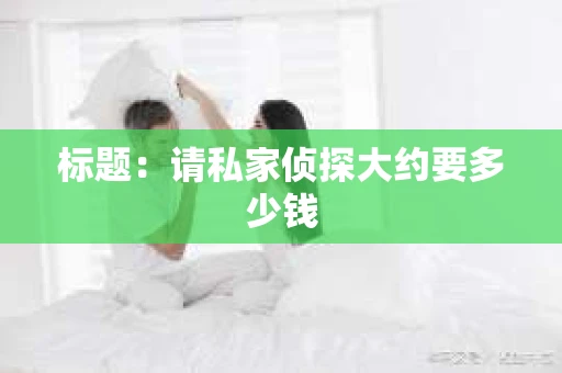 标题：请私家侦探大约要多少钱
