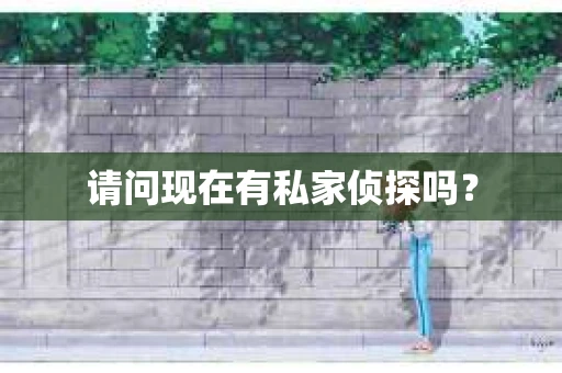 请问现在有私家侦探吗？