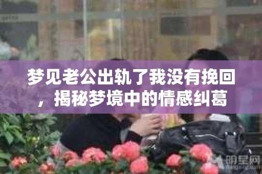 梦见老公出轨了我没有挽回，揭秘梦境中的情感纠葛
